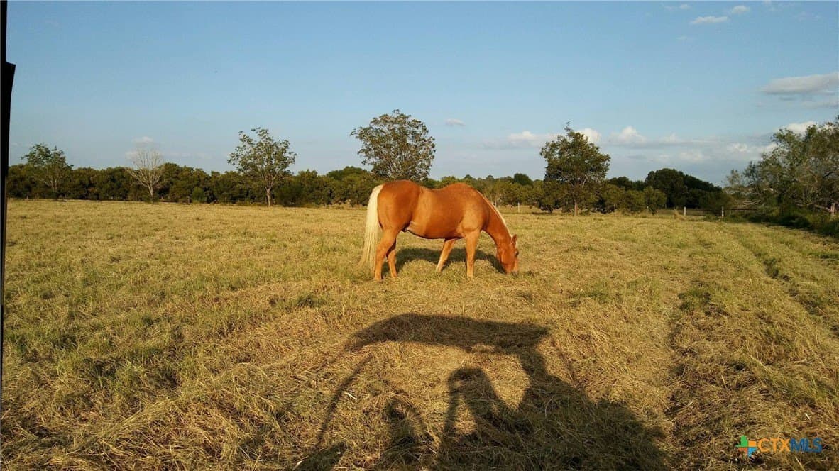 16.01 acres in Guadalupe County - photo 7