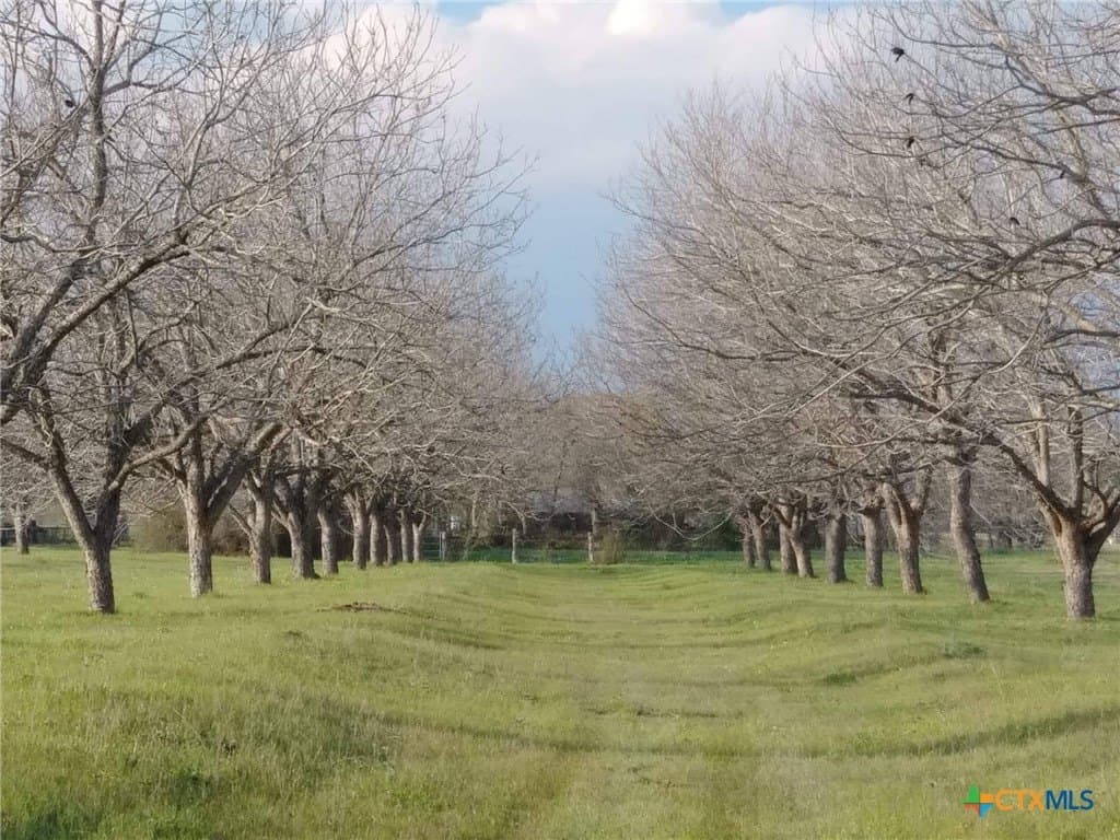 16.01 acres in Guadalupe County