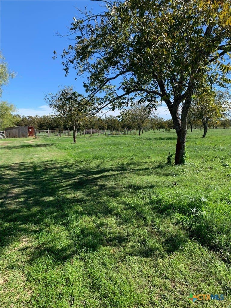 16.01 acres in Guadalupe County - photo 12