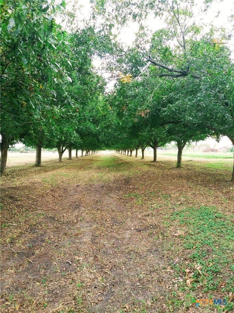 16.01 acres in Guadalupe County - photo 2