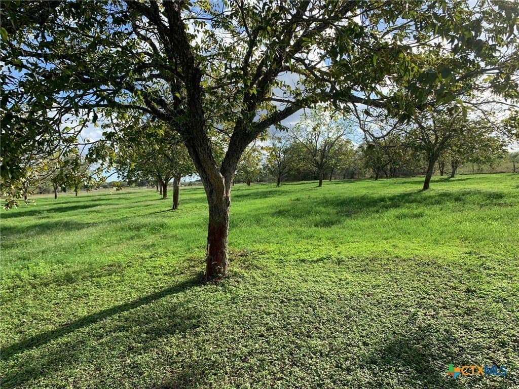 16.01 acres in Guadalupe County - photo 4