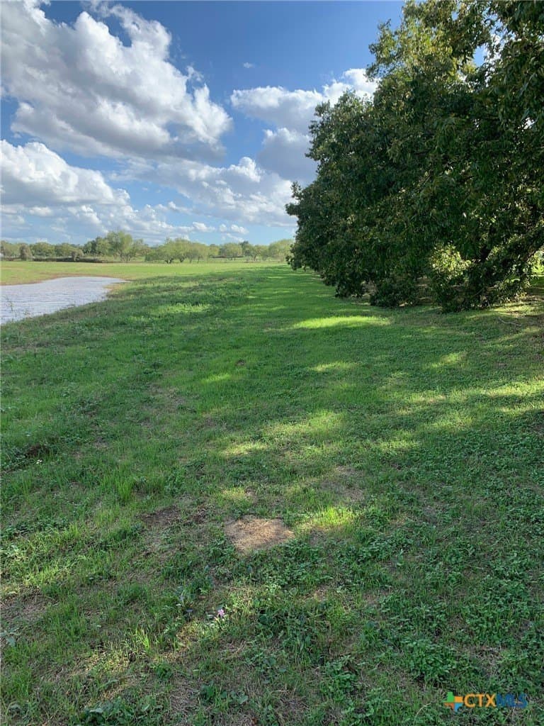 16.01 acres in Guadalupe County - photo 16