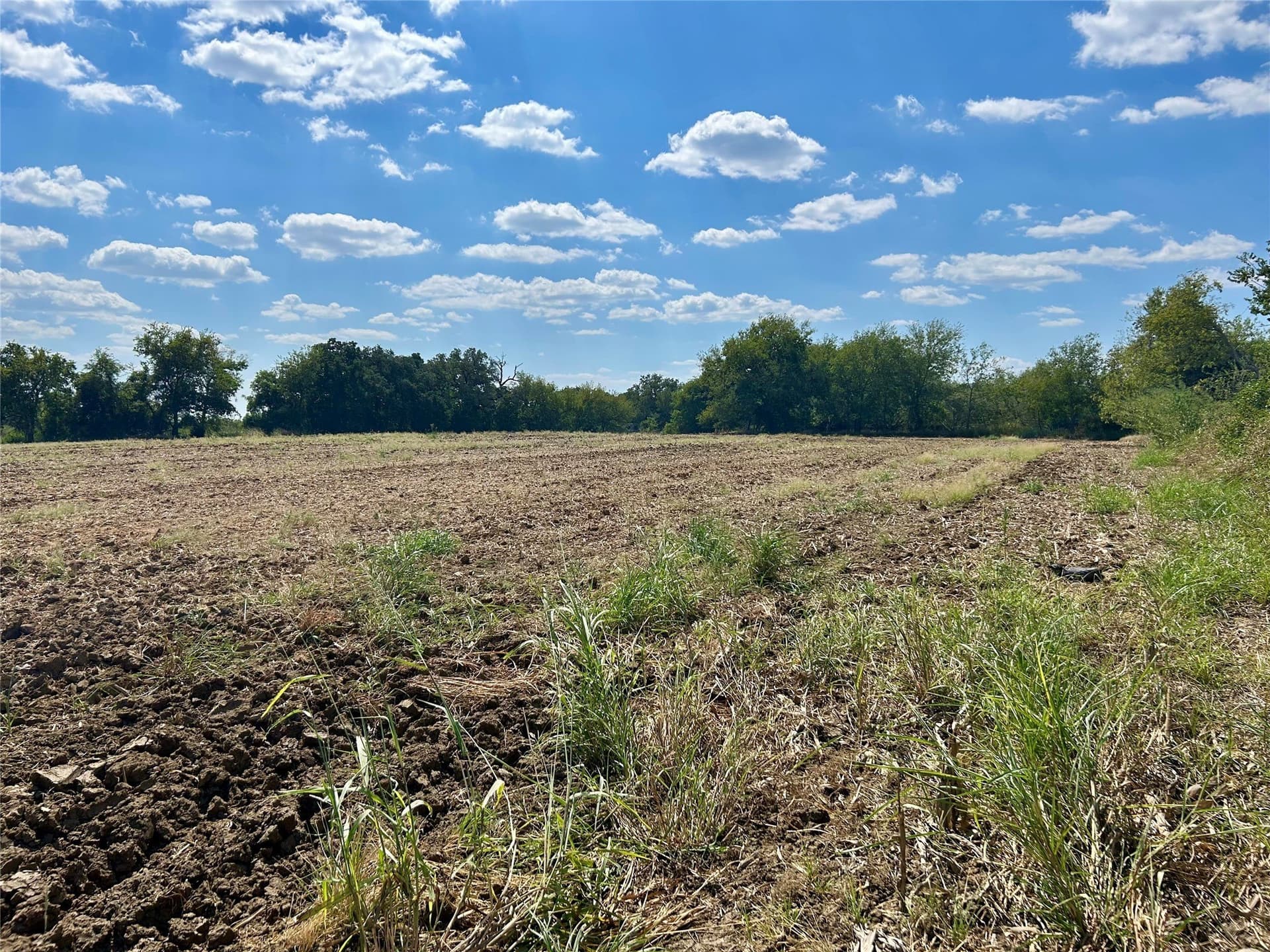 2 acres in Hill County - photo 10