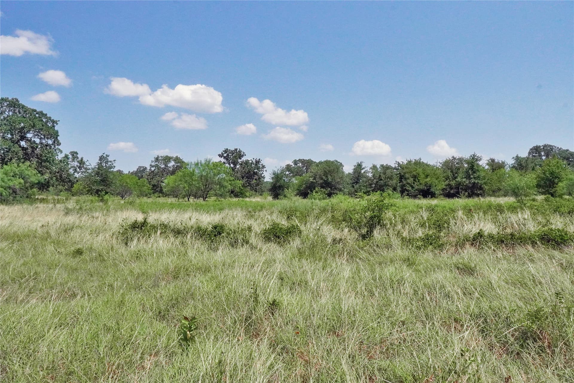 71.63 acres in Jack County - photo 25