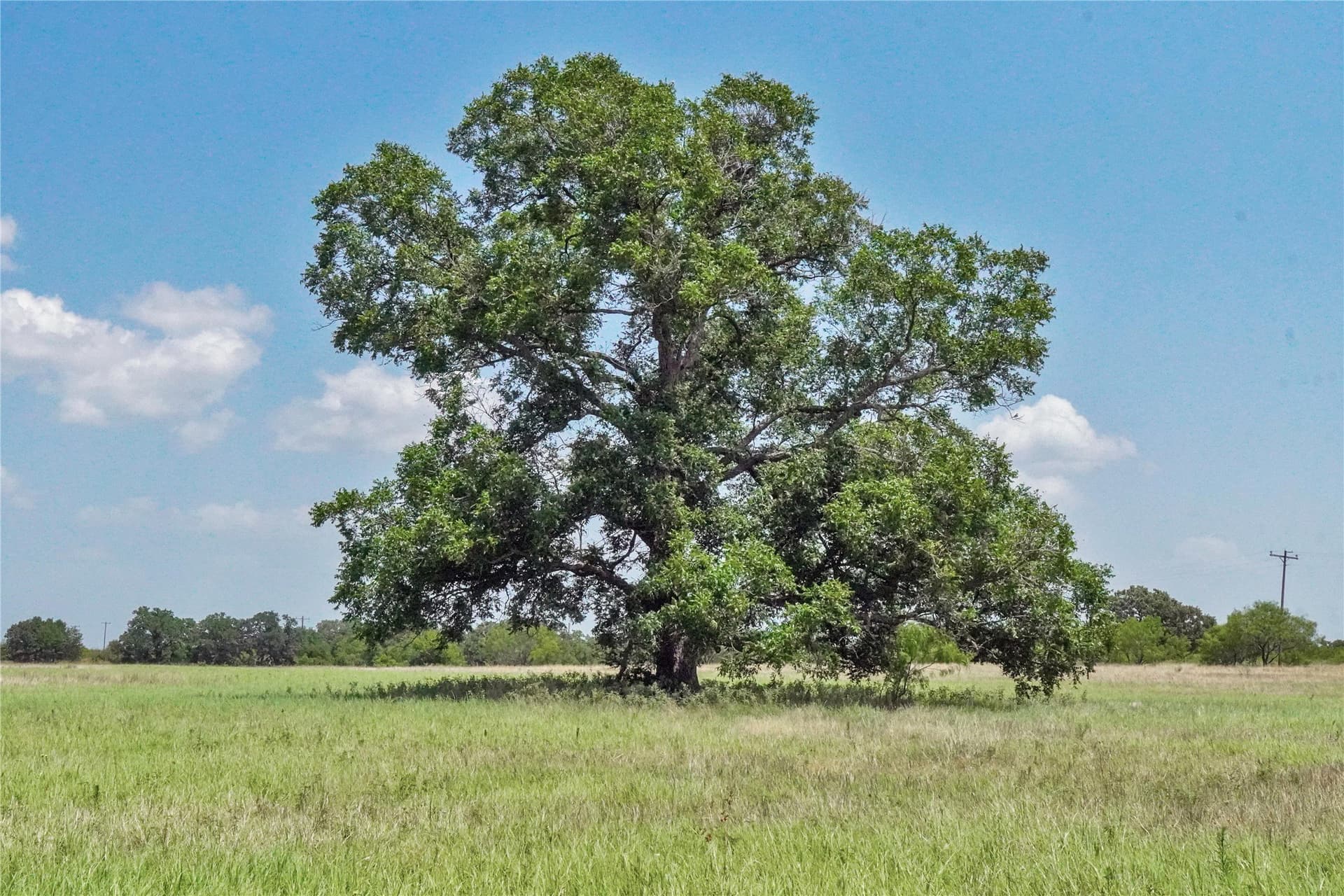 71.63 acres in Jack County - photo 2