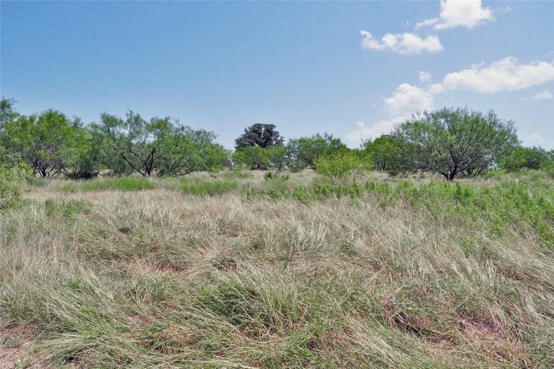 71.63 acres in Jack County - photo 23