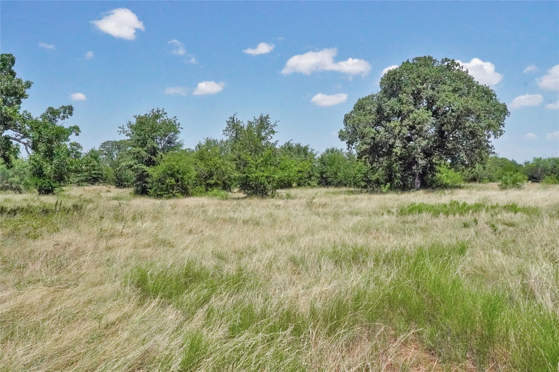 71.63 acres in Jack County - photo 27