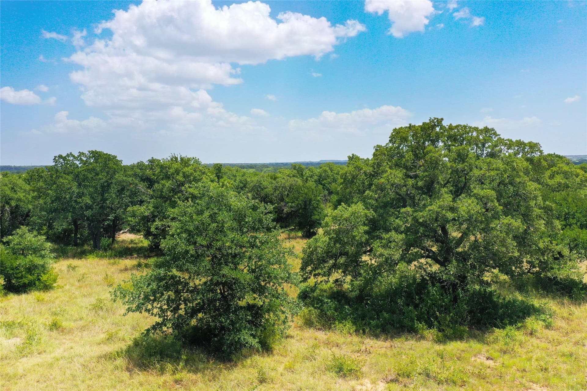 71.63 acres in Jack County - photo 20