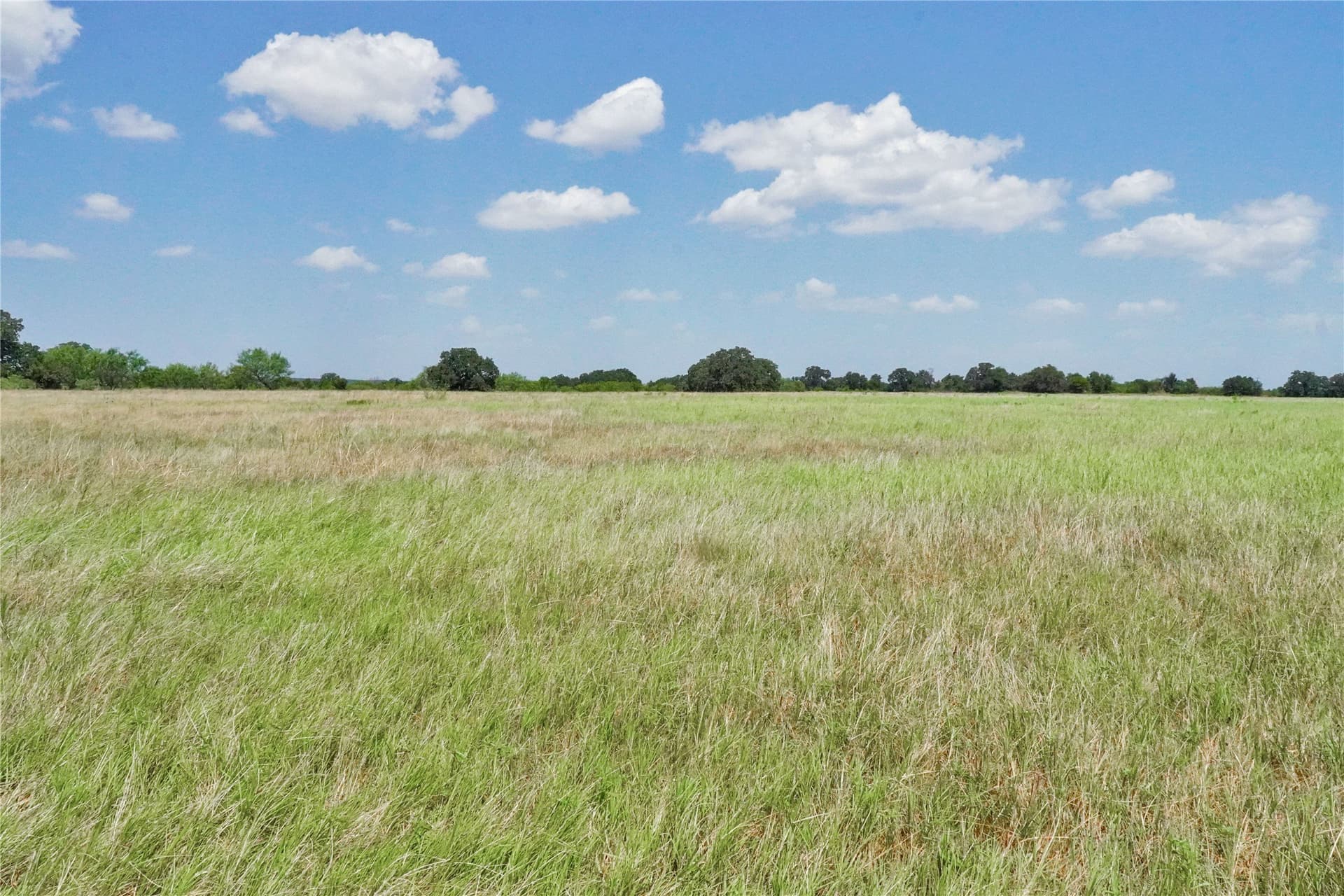 71.63 acres in Jack County - photo 28