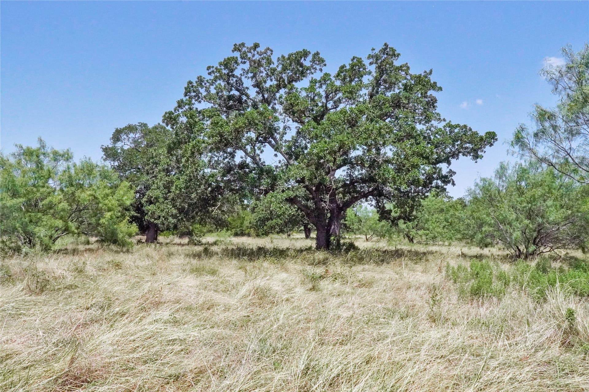 71.63 acres in Jack County - photo 31