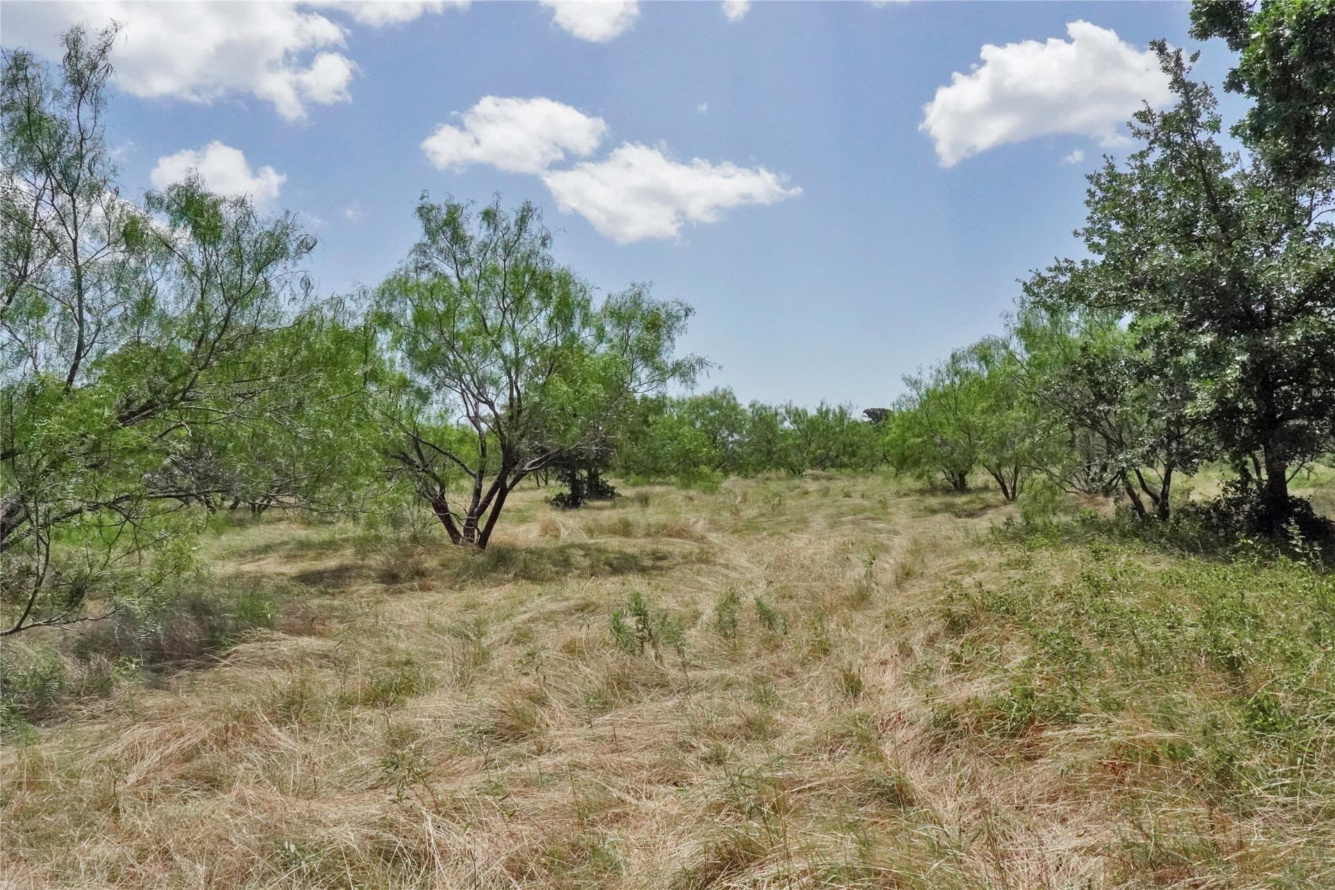 71.63 acres in Jack County - photo 26