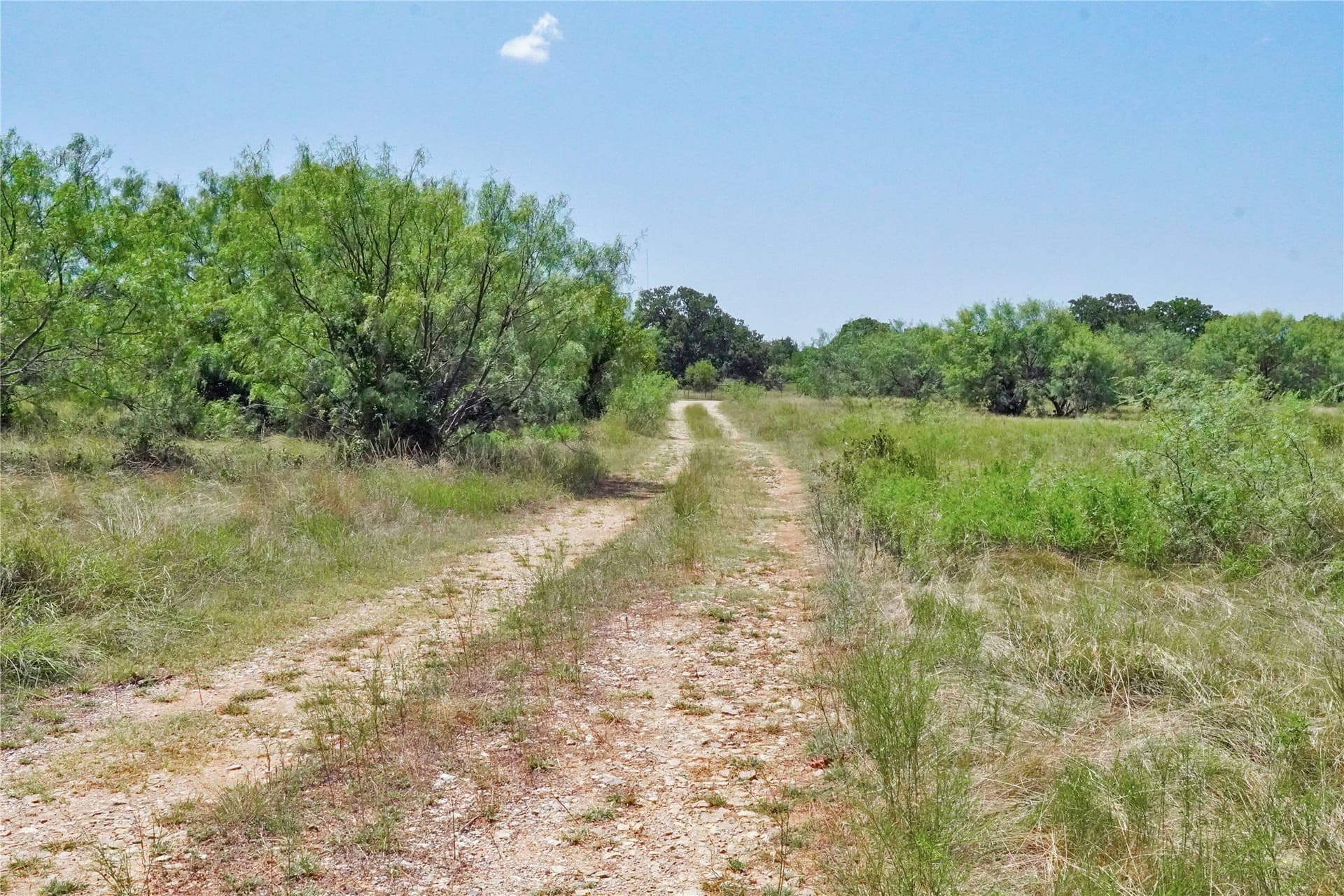 71.63 acres in Jack County - photo 22