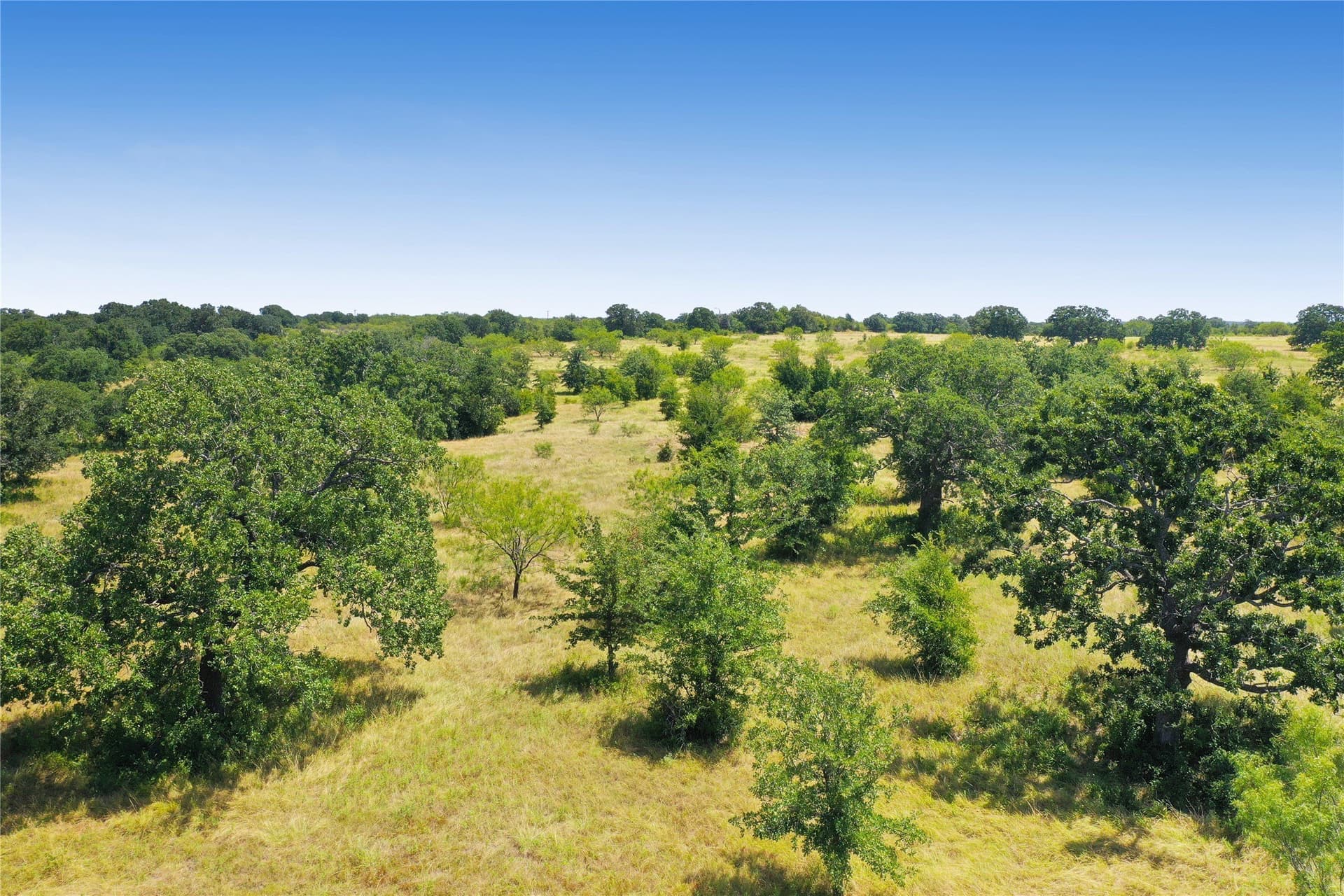 71.63 acres in Jack County - photo 6