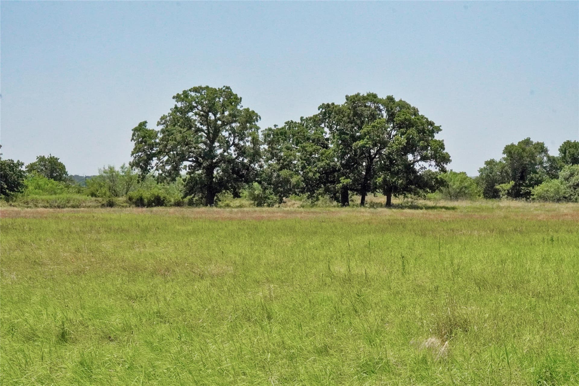 71.63 acres in Jack County - photo 29