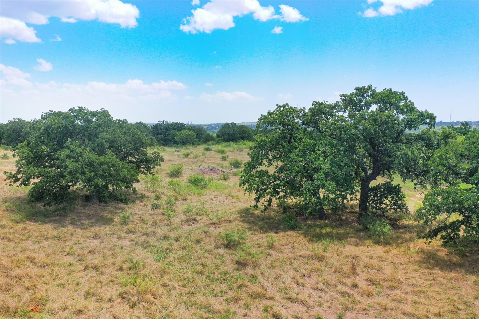 71.63 acres in Jack County - photo 14