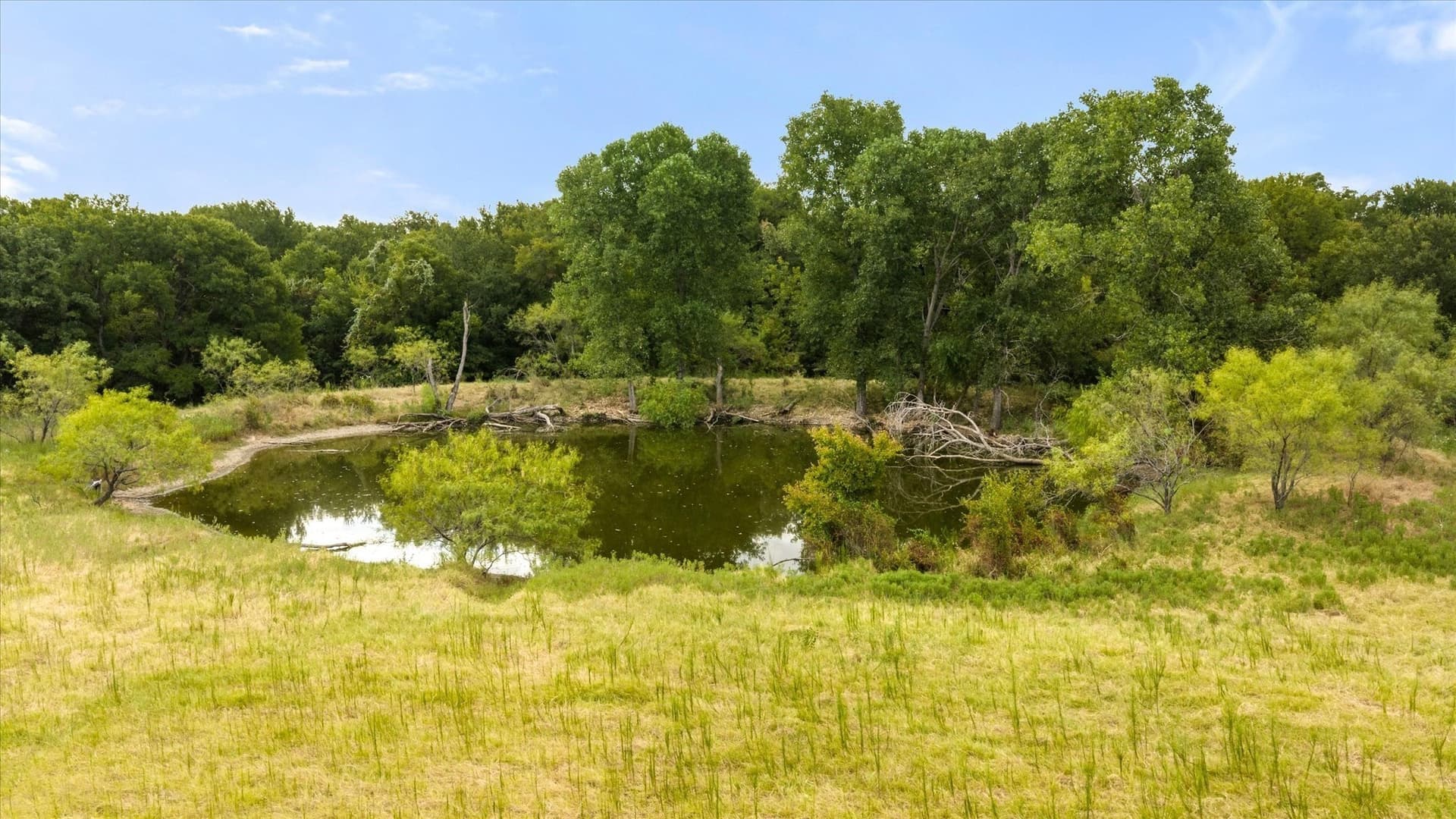 67 acres in Erath County - photo 9