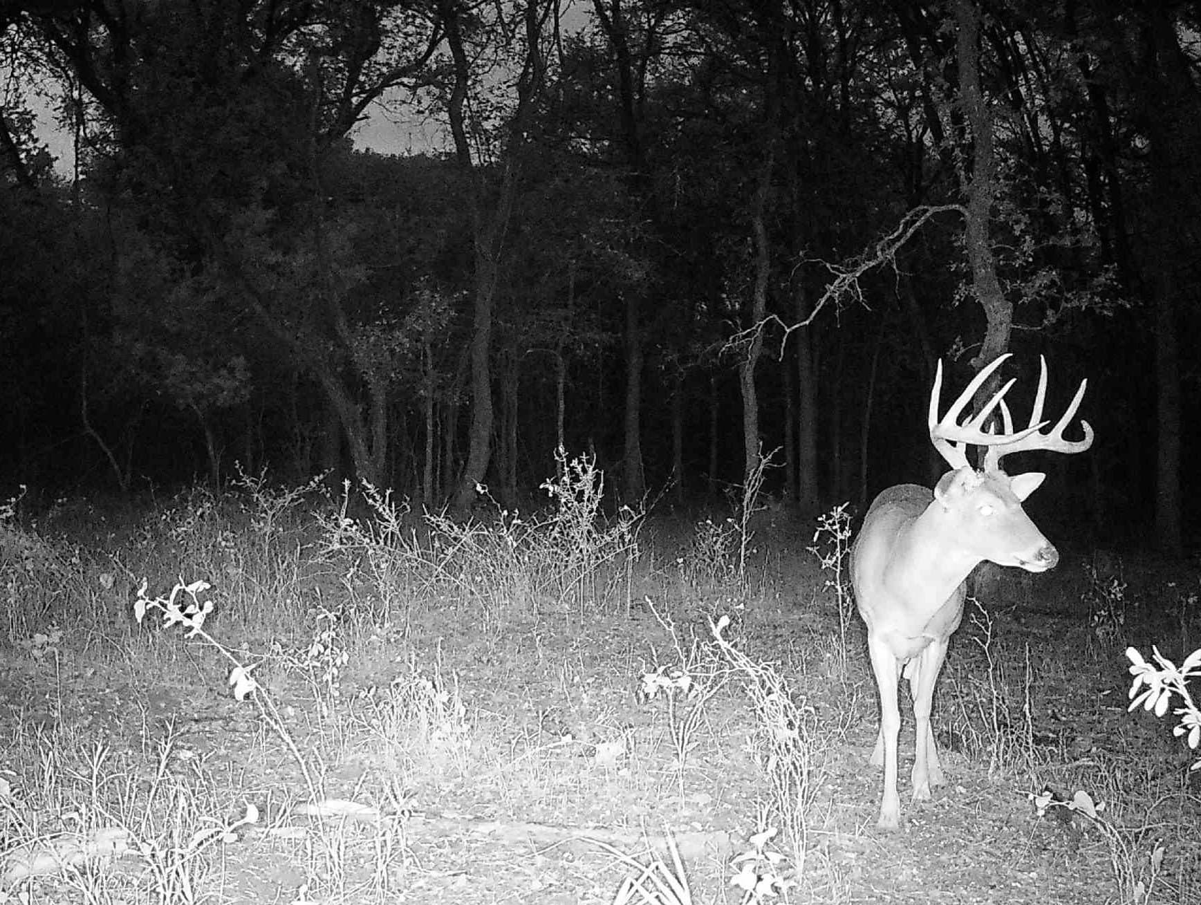 67 acres in Erath County - photo 17