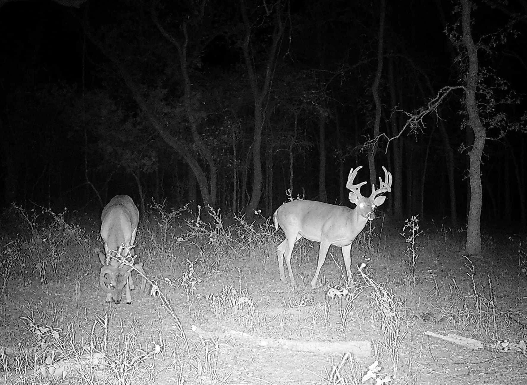67 acres in Erath County - photo 16