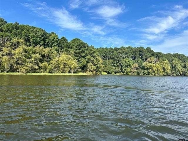 1.28 acres in Anderson County gallery image 2