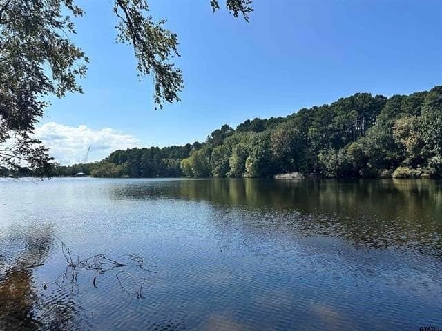 1.28 acres in Anderson County gallery image 4
