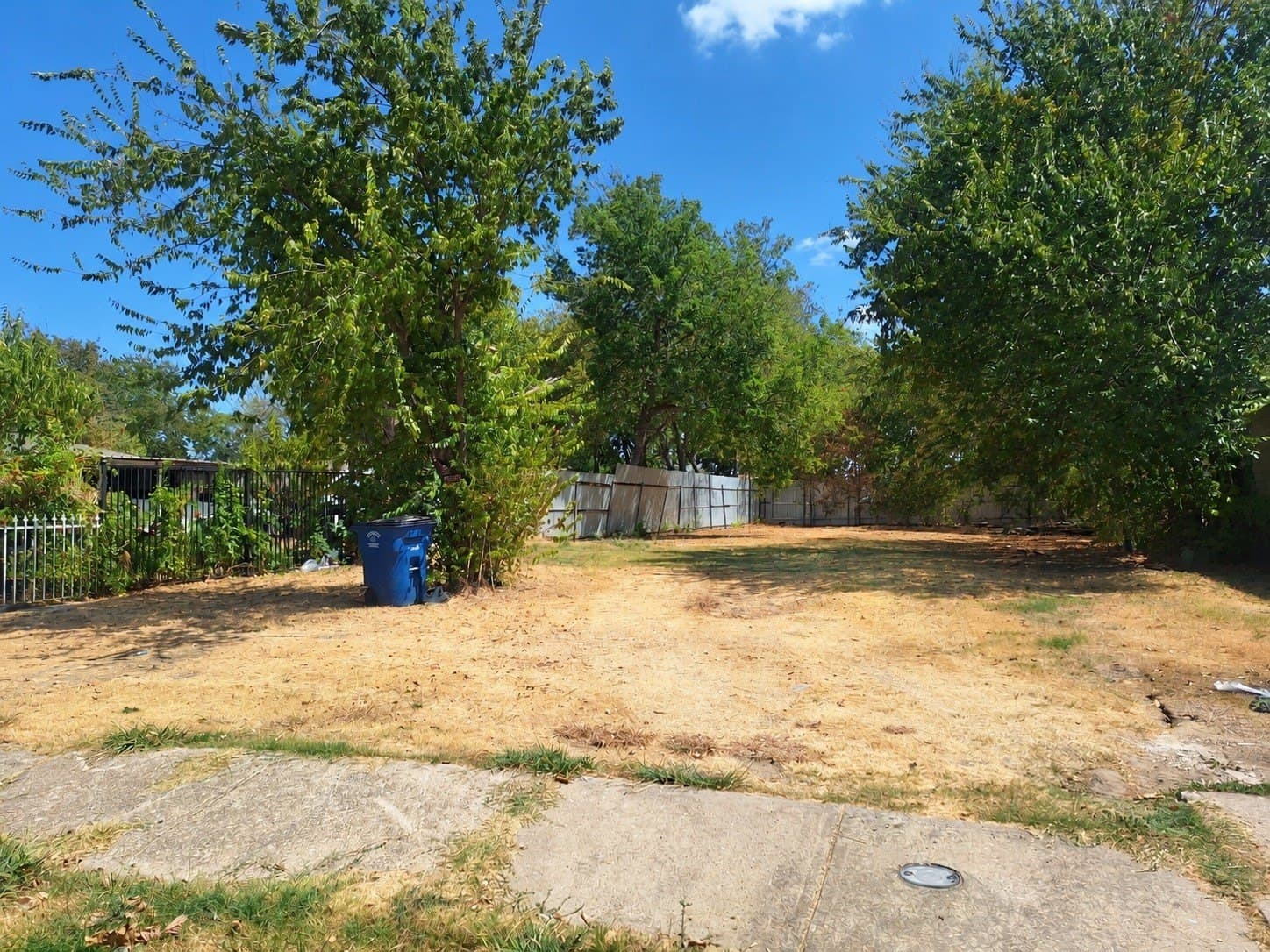 0.17 acres in Dallas County - photo 2