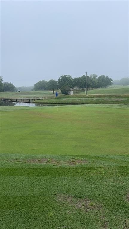 0.22 acres in Leon County gallery image 4