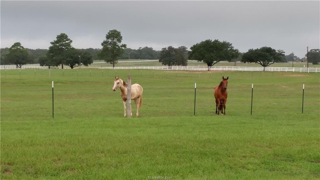 0.22 acres in Leon County featured view