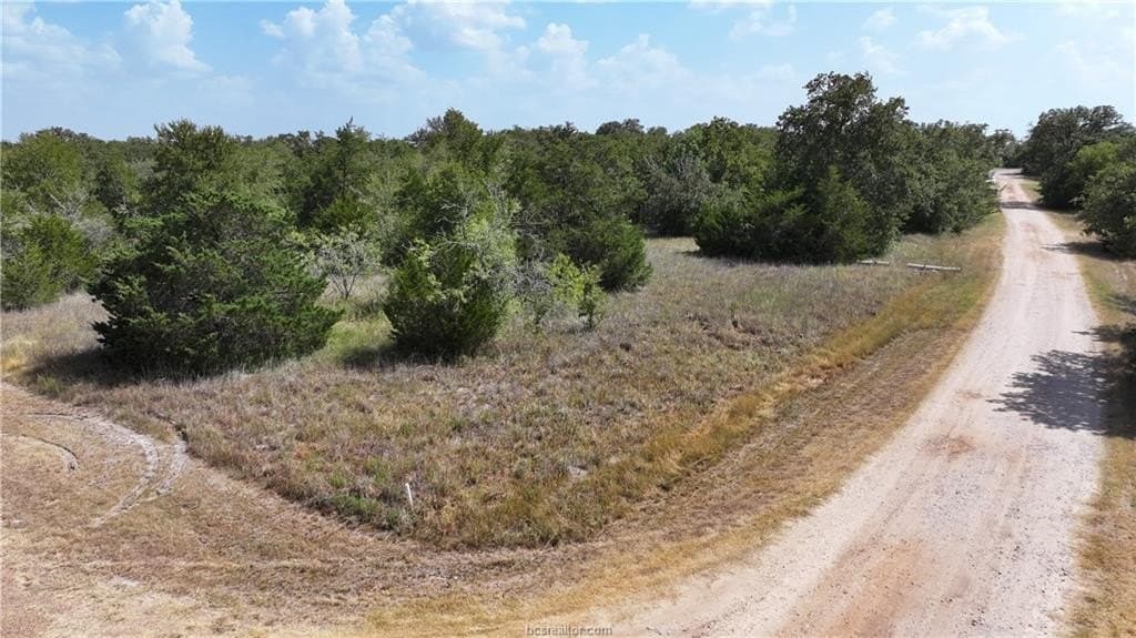 0.81 acres in Burleson County - photo 4