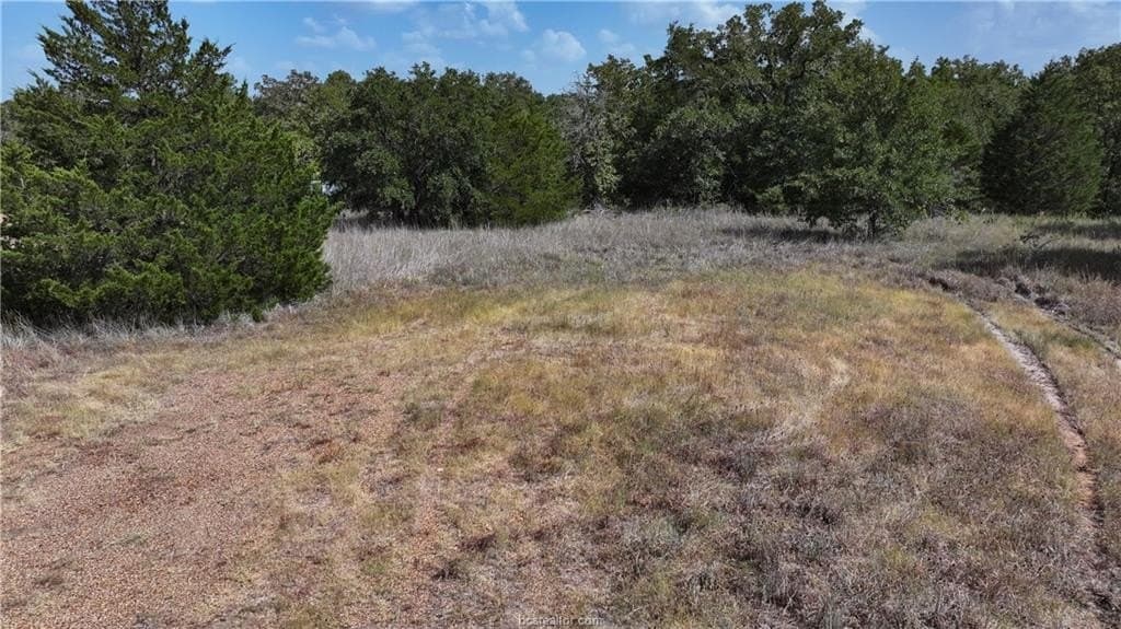 0.81 acres in Burleson County - photo 2