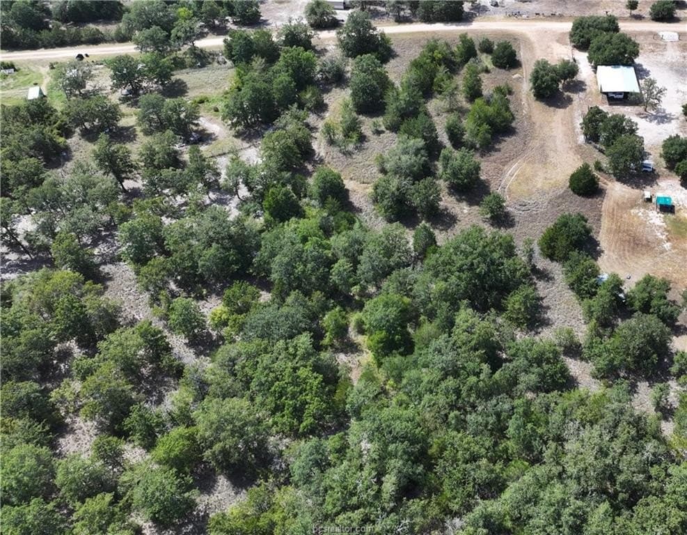 0.81 acres in Burleson County - photo 6