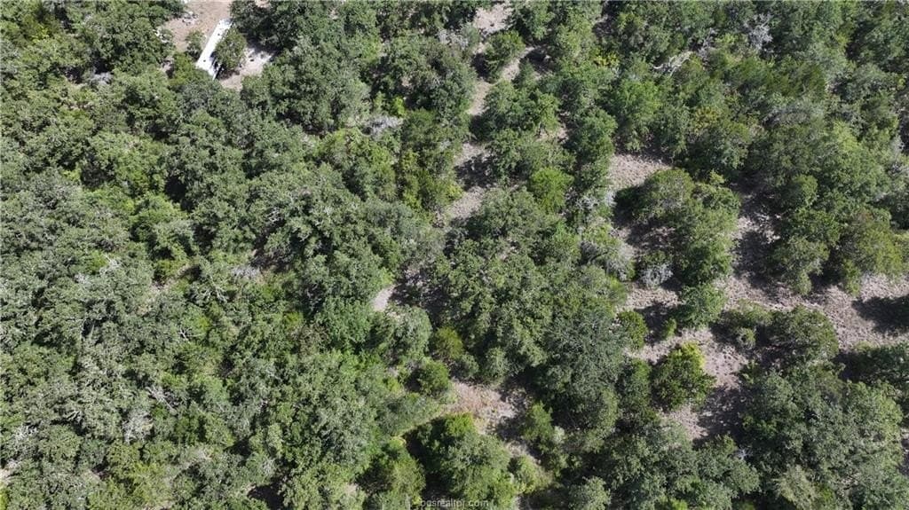 0.81 acres in Burleson County - photo 8