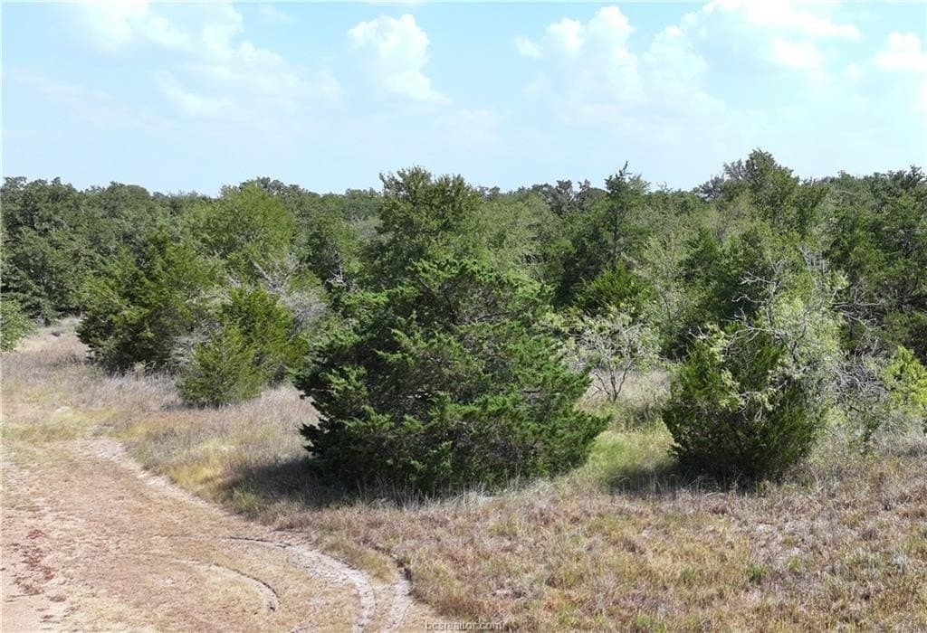 0.81 acres in Burleson County - photo 5