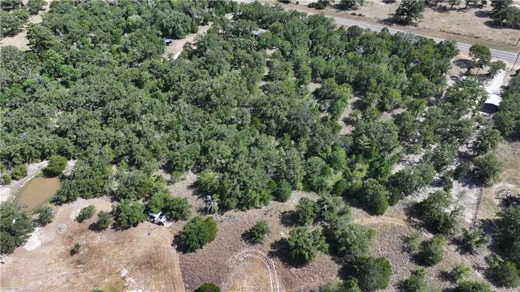 0.81 acres in Burleson County - photo 9