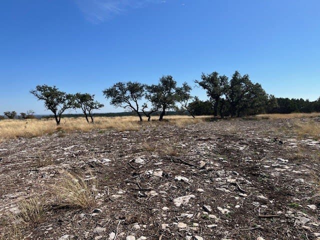 10.02 acres in Gillespie County gallery image 3