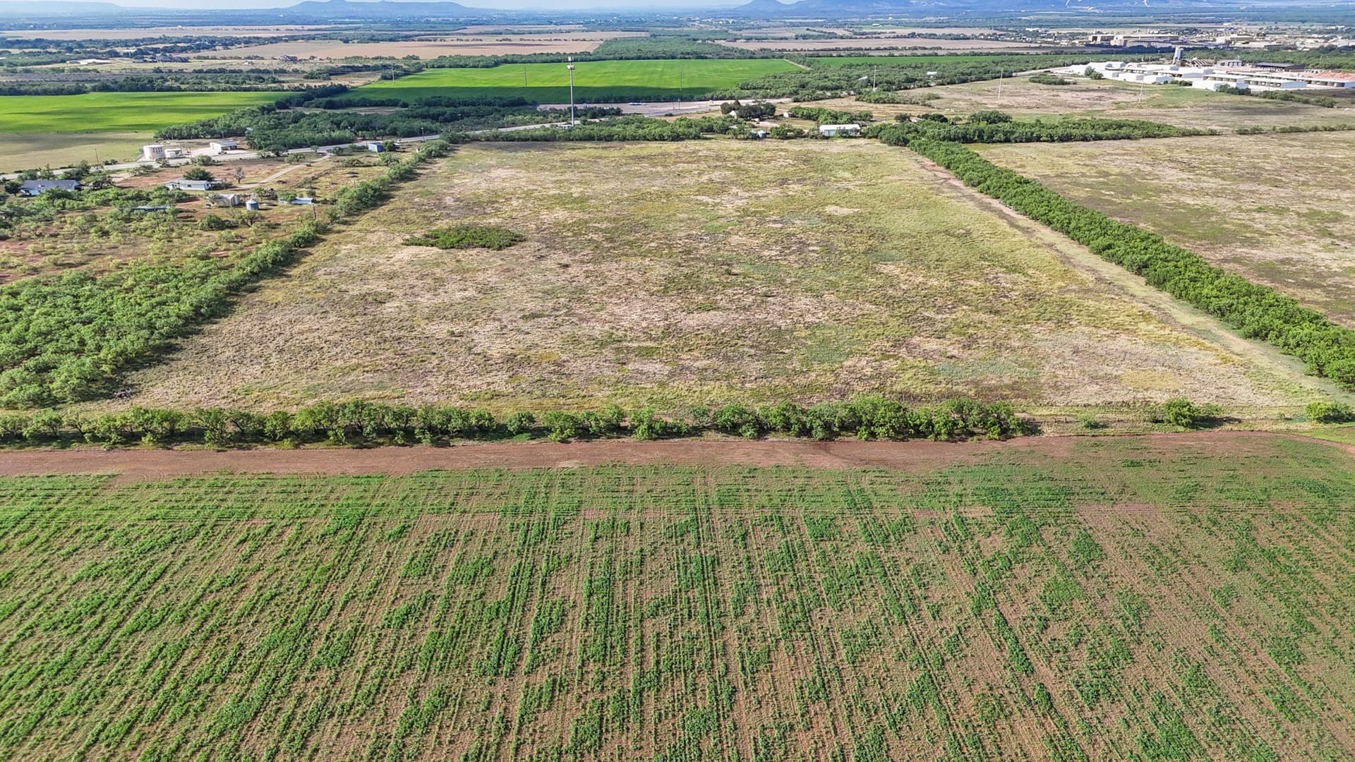 35.31 acres in Taylor County - photo 3