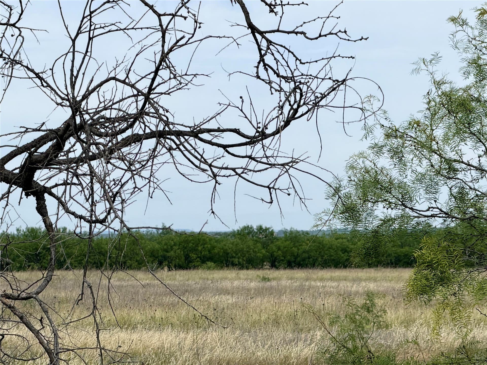 35.31 acres in Taylor County - photo 6