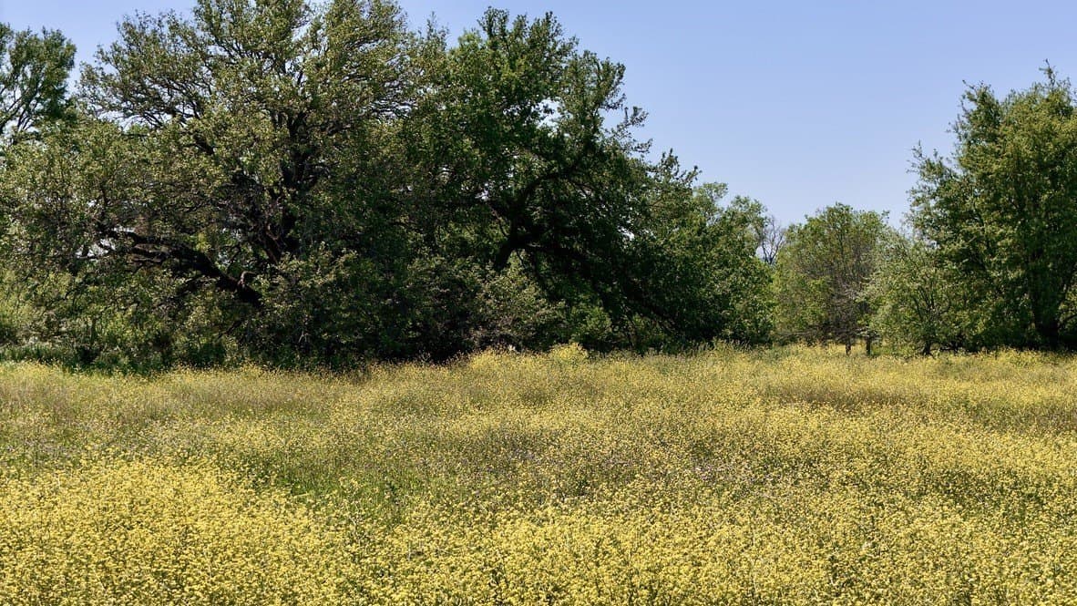 30 acres in Bosque County - photo 5