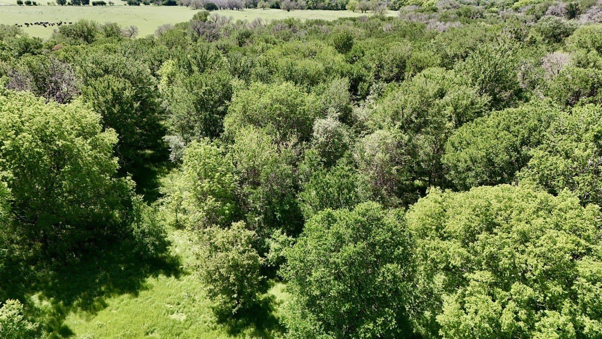 30 acres in Bosque County - photo 3