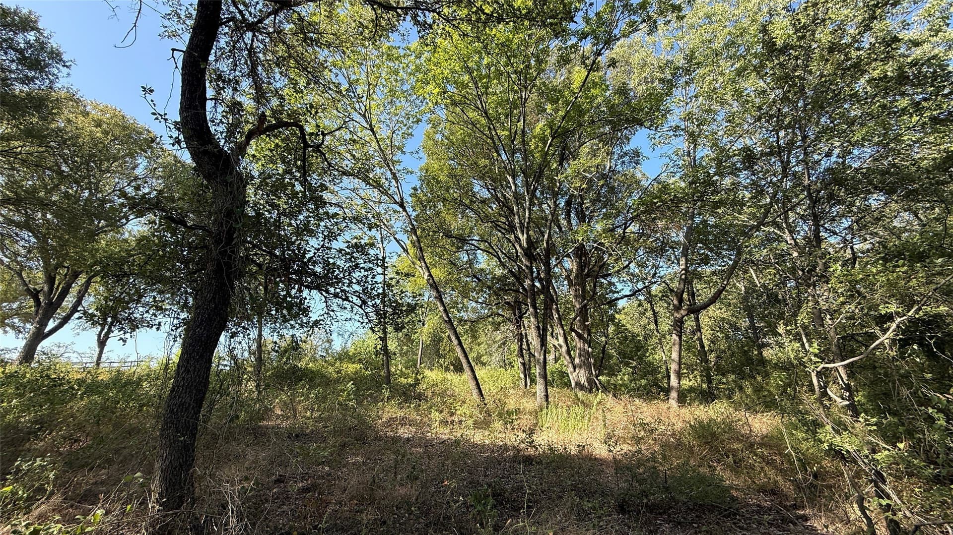 1.16 acres in Navarro County - photo 19