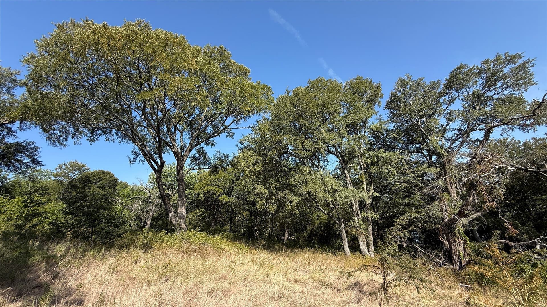 1.16 acres in Navarro County - photo 26