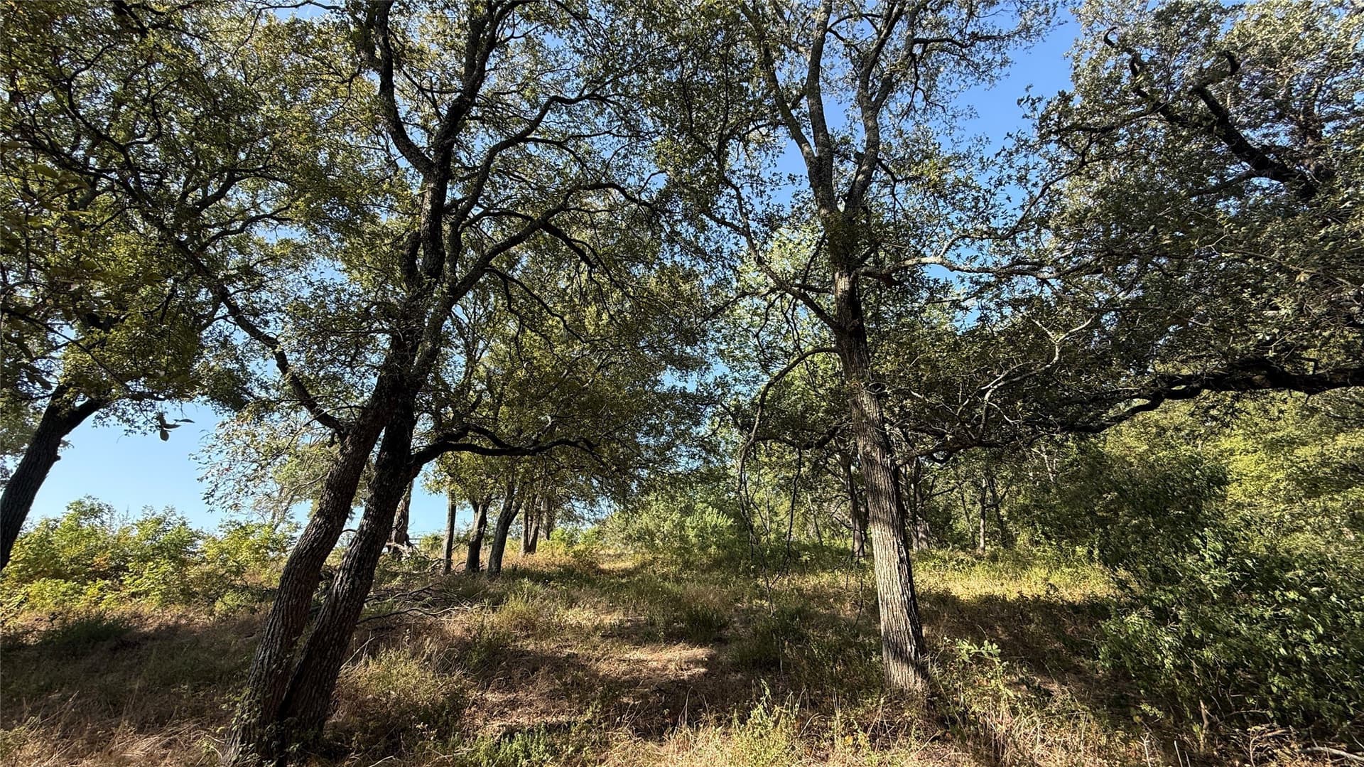 1.16 acres in Navarro County - photo 22
