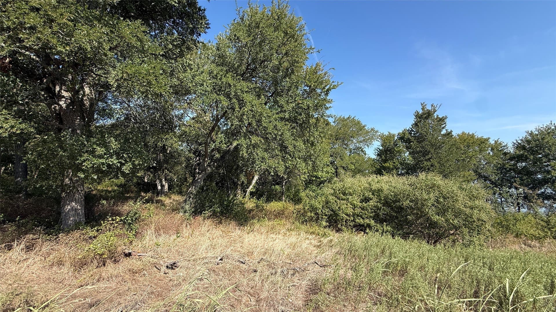1.16 acres in Navarro County - photo 23
