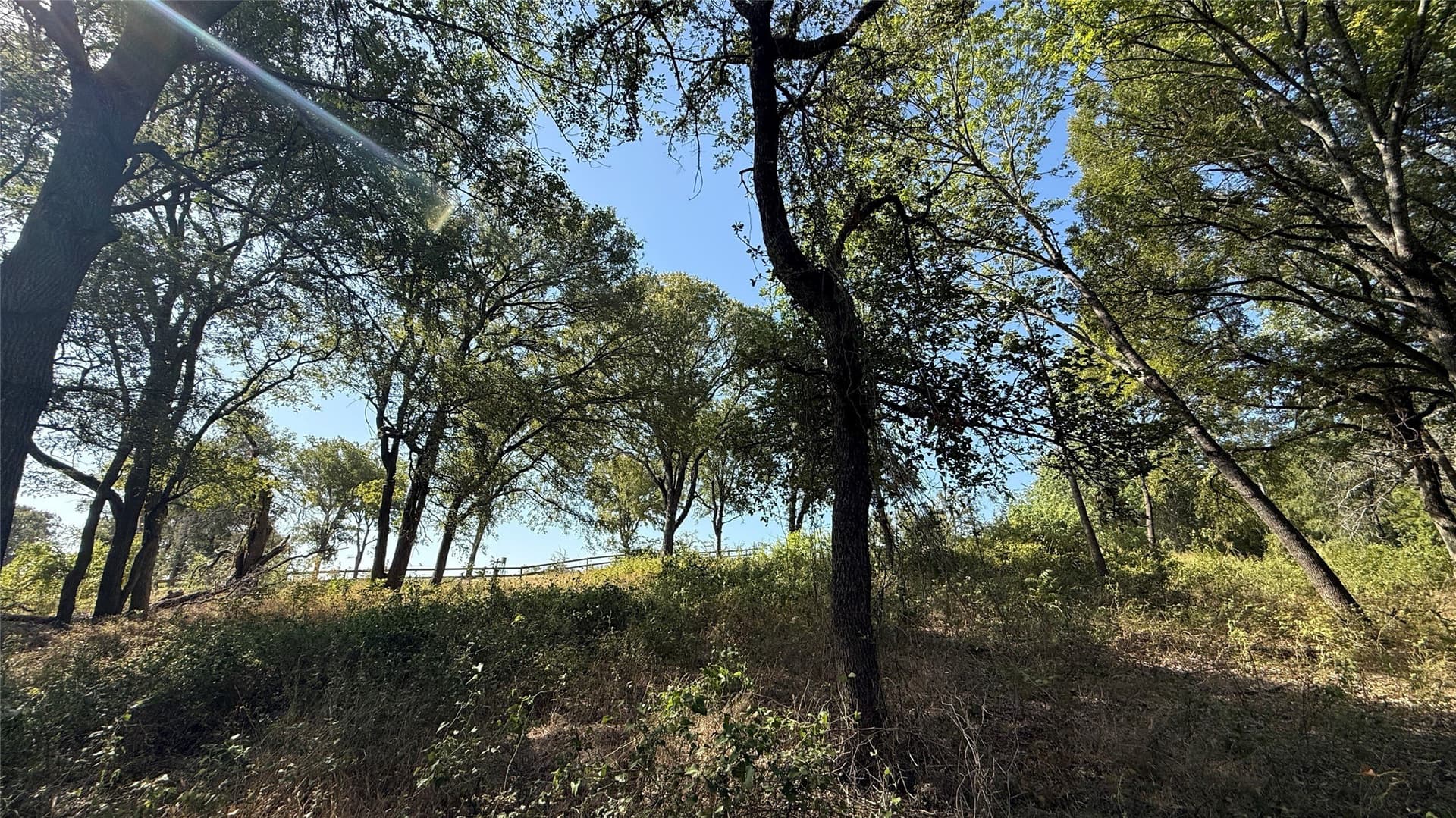 1.16 acres in Navarro County - photo 18