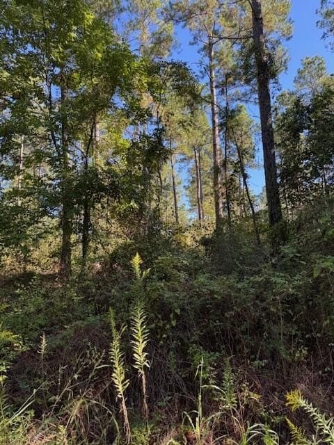104 acres in ANDERSON County - photo 6