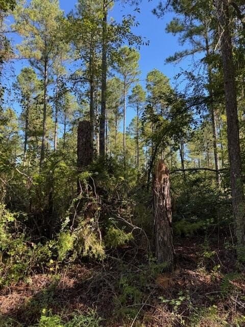 104 acres in ANDERSON County - photo 7