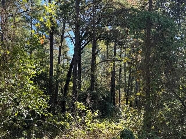 104 acres in ANDERSON County - photo 4