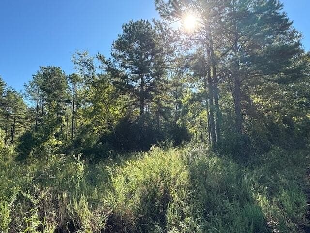104 acres in ANDERSON County - photo 2