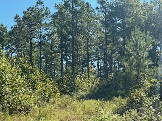 104 acres in ANDERSON County - photo 5