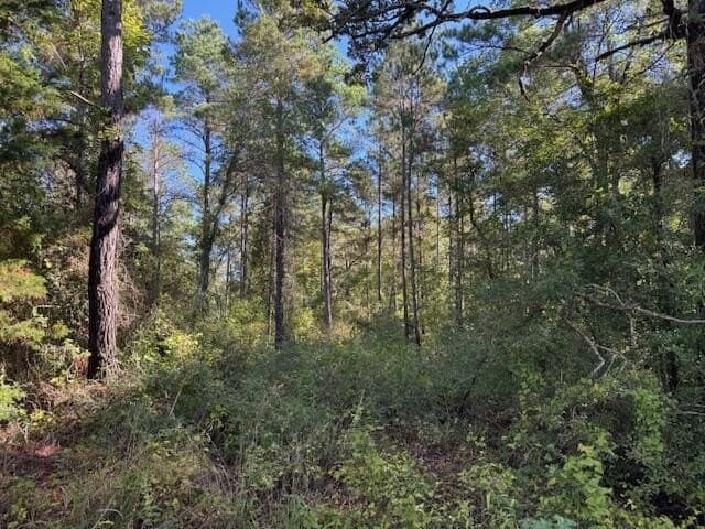 104 acres in ANDERSON County - photo 3