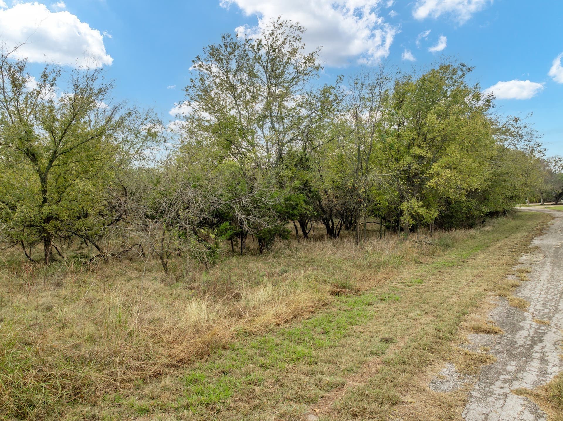 0.24 acres in Hill County - photo 4